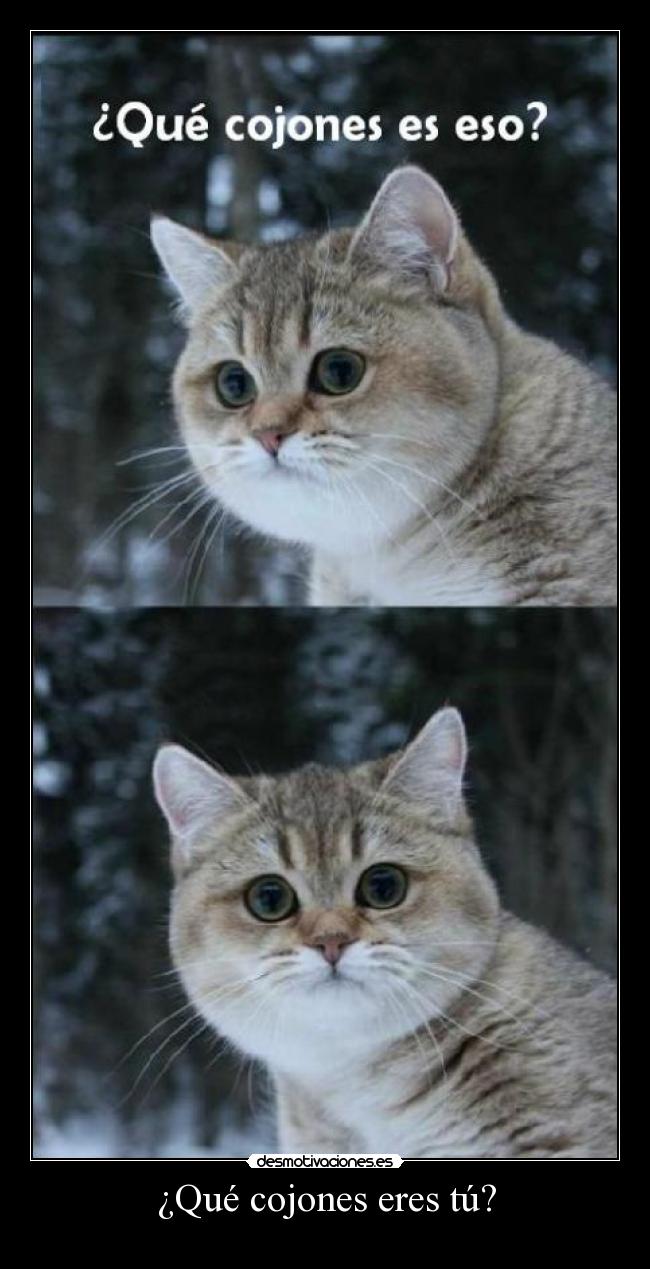 ¿Qué cojones eres tú? -