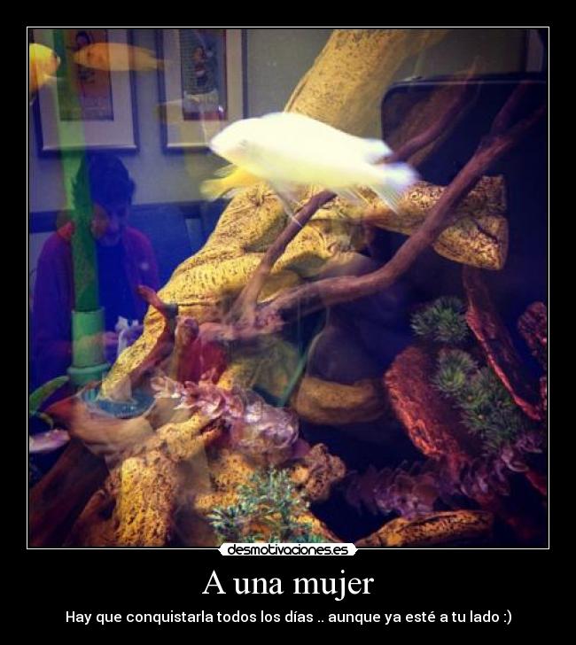 A una mujer - Hay que conquistarla todos los días .. aunque ya esté a tu lado :)