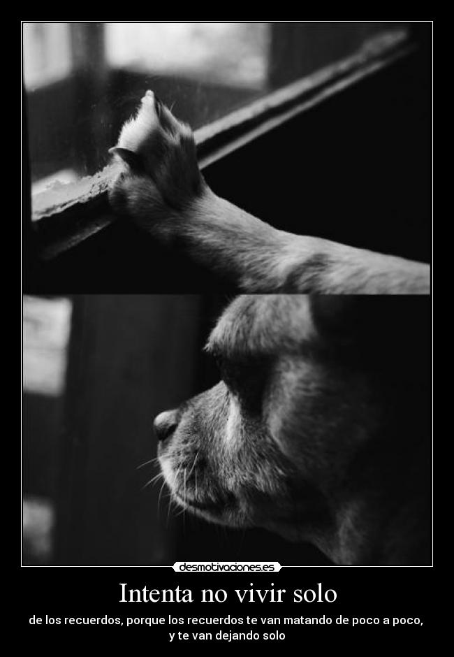 Intenta no vivir solo -