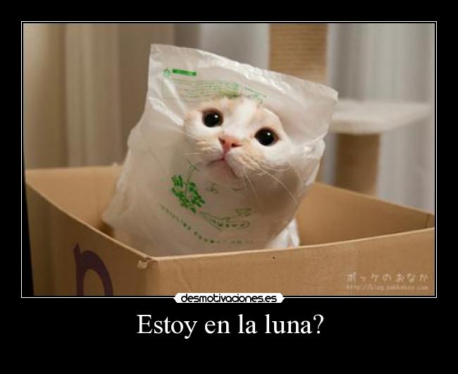 Estoy en la luna? -