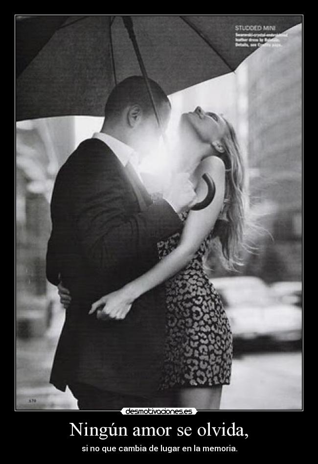 Ningún amor se olvida, - si no que cambia de lugar en la memoria.