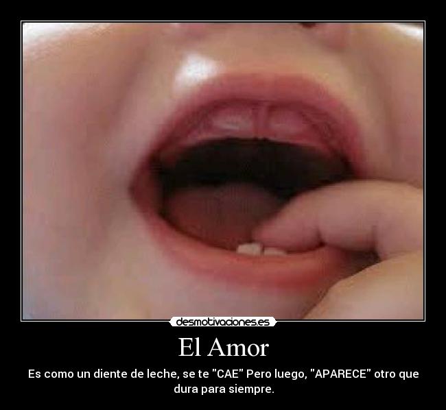 El Amor - Es como un diente de leche, se te CAE Pero luego, APARECE otro que
dura para siempre.