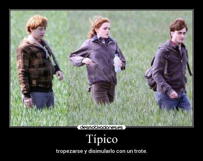 Típico -