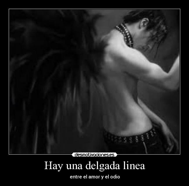 carteles amor odio instante desmotivaciones