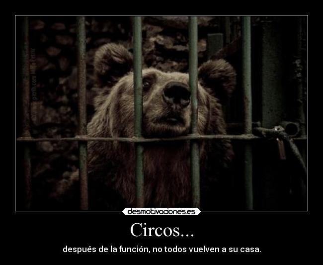 Circos... -