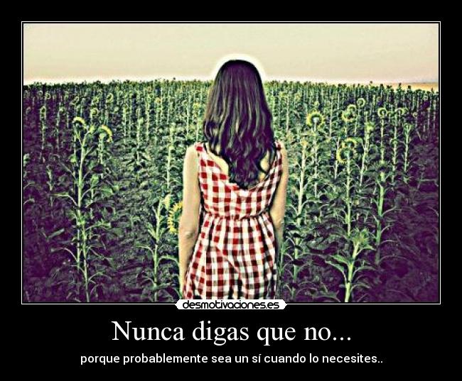Nunca digas que no... - porque probablemente sea un sí cuando lo necesites..