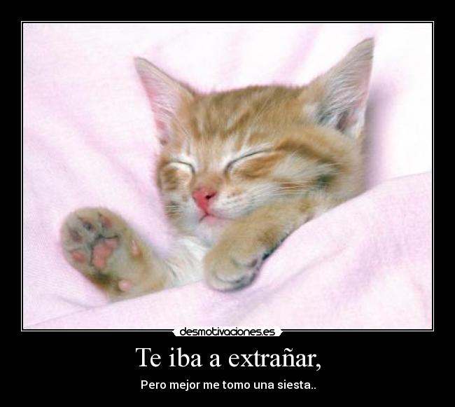 Te iba a extrañar, - Pero mejor me tomo una siesta..
