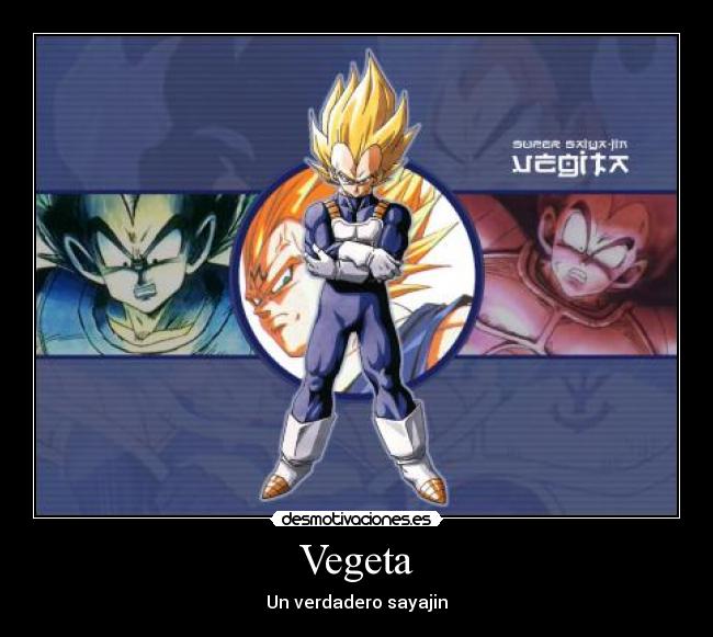 Vegeta - Un verdadero sayajin