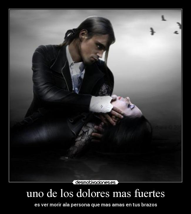 carteles colorixx desmotivaciones