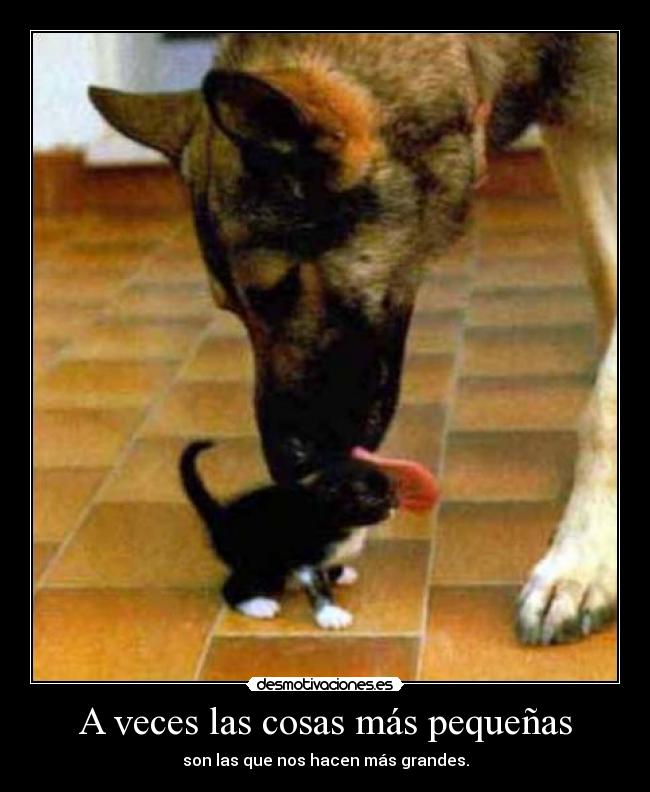 A veces las cosas más pequeñas - 