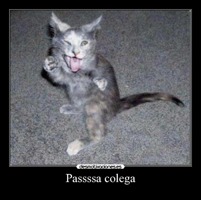 carteles ghf desmotivaciones