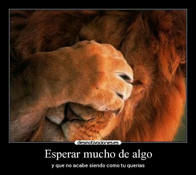 carteles decepcion leon desmotivaciones
