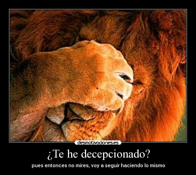 ¿Te he decepcionado? - 
