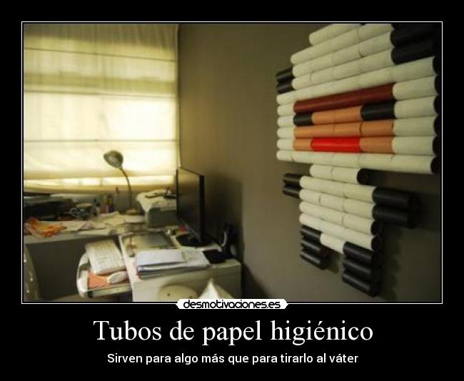 Tubos de papel higiénico -