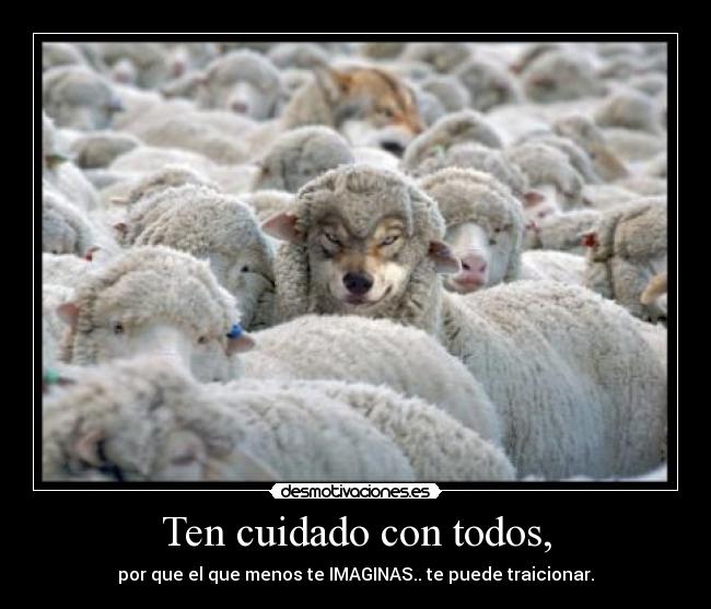 Ten cuidado con todos, - por que el que menos te IMAGINAS.. te puede traicionar.