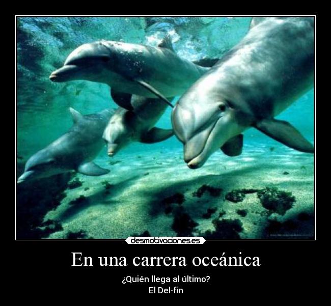 En una carrera oceánica - 