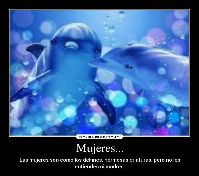 Mujeres... - Las mujeres son como los delfines, hermosas criaturas, pero no les
entiendes ni madres.