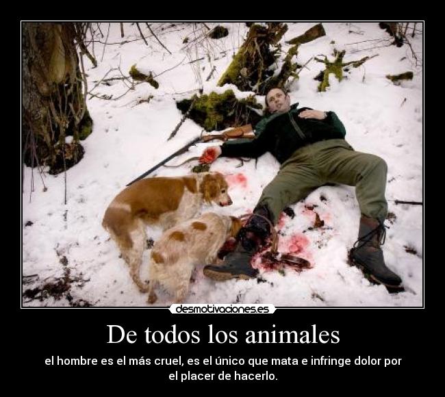 De todos los animales - 