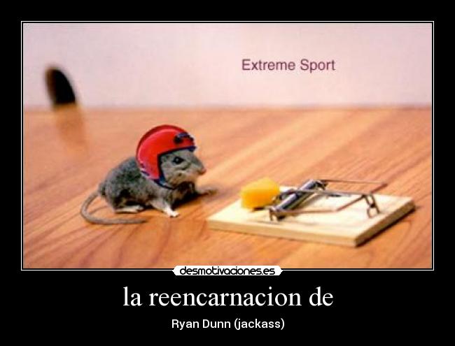 la reencarnacion de - 