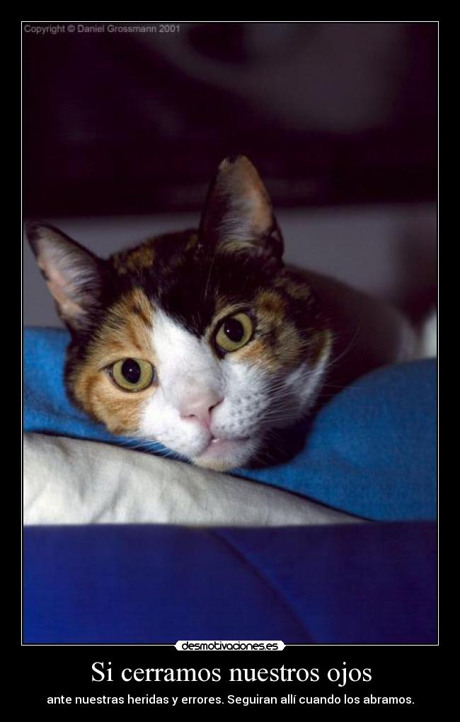 Si cerramos nuestros ojos - ante nuestras heridas y errores. Seguiran allí cuando los abramos.