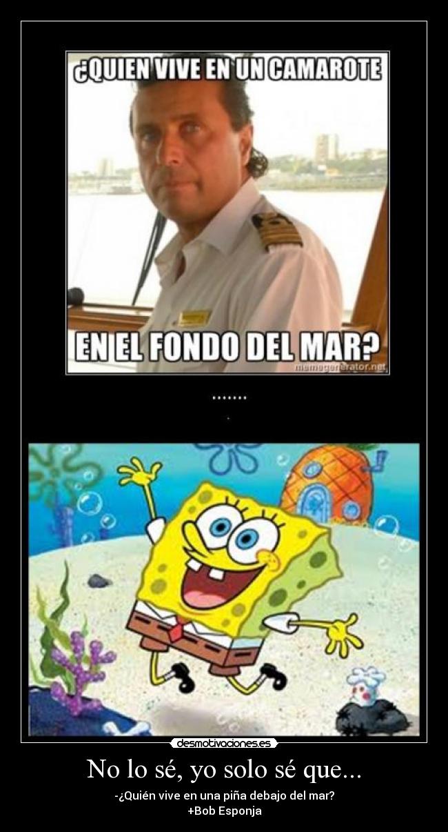 No lo sé, yo solo sé que... -