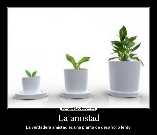 La amistad - 
