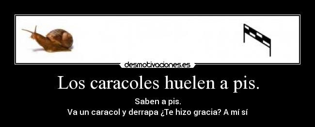 Los caracoles huelen a pis. - Saben a pis.
Va un caracol y derrapa ¿Te hizo gracia? A mí sí