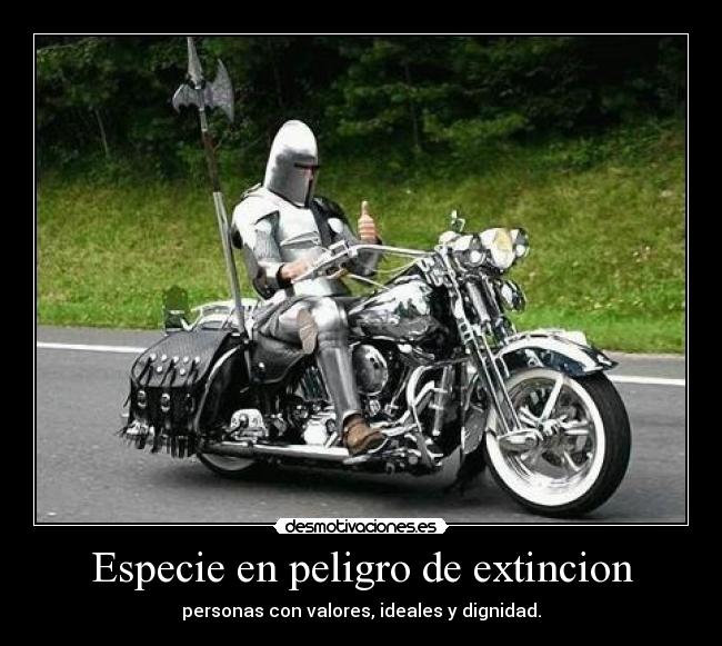 Especie en peligro de extincion - personas con valores, ideales y dignidad.