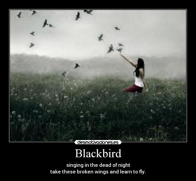 Blackbird - singing in the dead of night
take these broken wings and learn to fly.