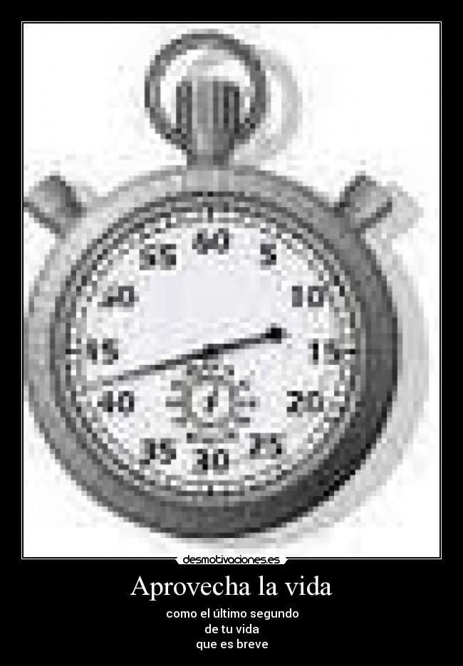 Aprovecha la vida - como el último segundo
de tu vida
que es breve