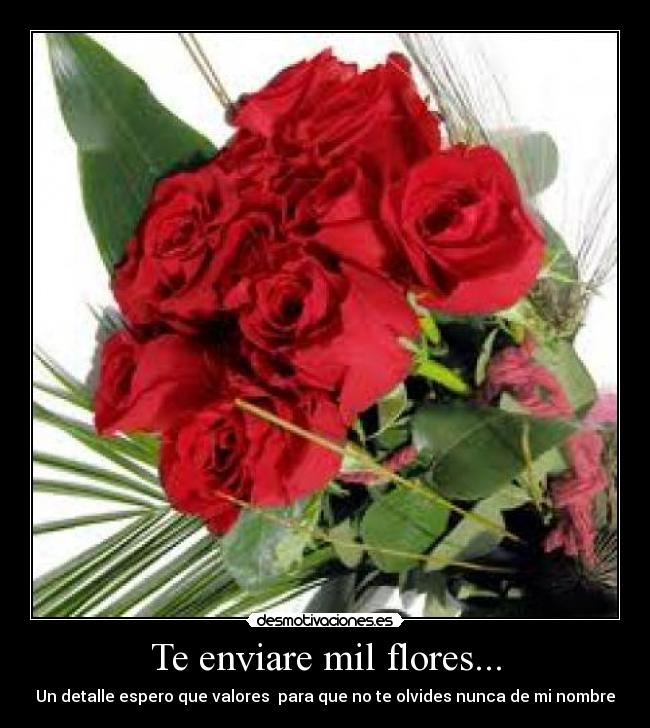 carteles flores detalle nombre desmotivaciones