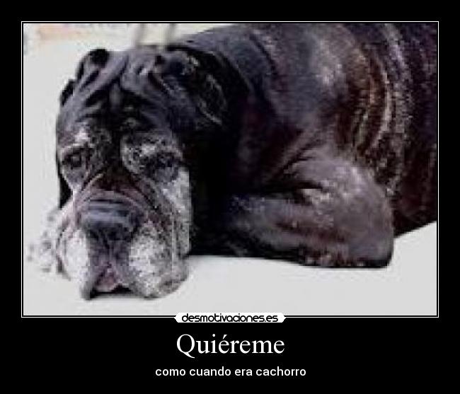 Quiéreme -
