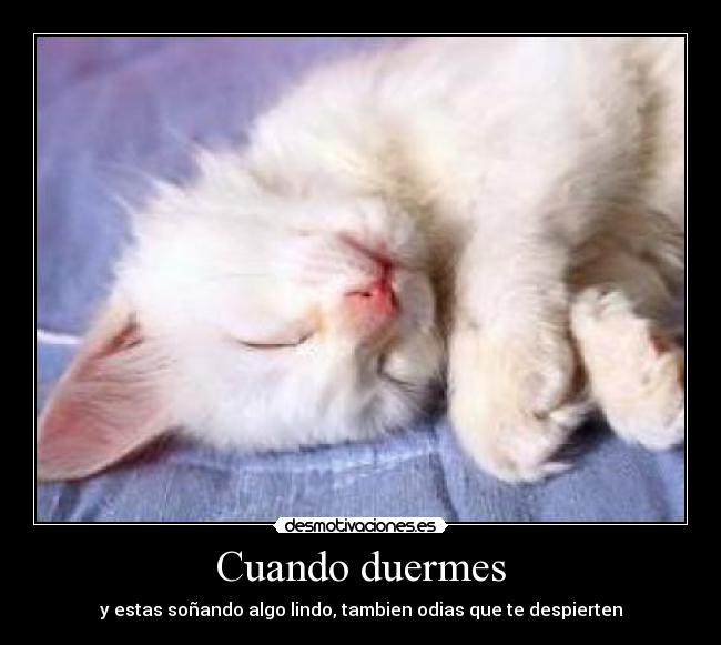 Cuando duermes -