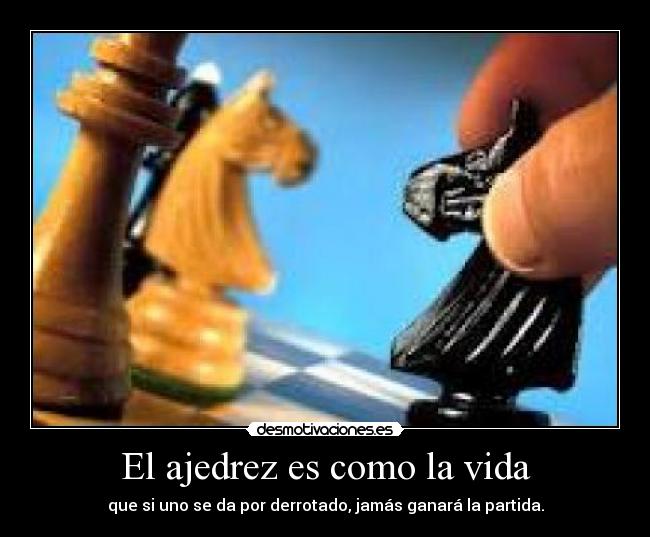 carteles vida cosasconsentido desmotivaciones