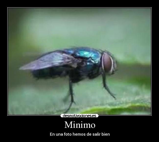 Minimo - En una foto hemos de salir bien