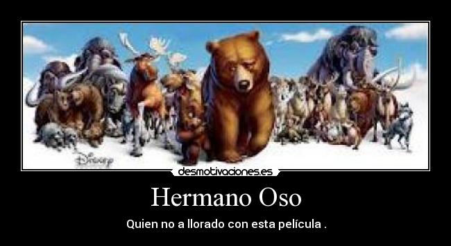 Hermano Oso - Quien no a llorado con esta película .