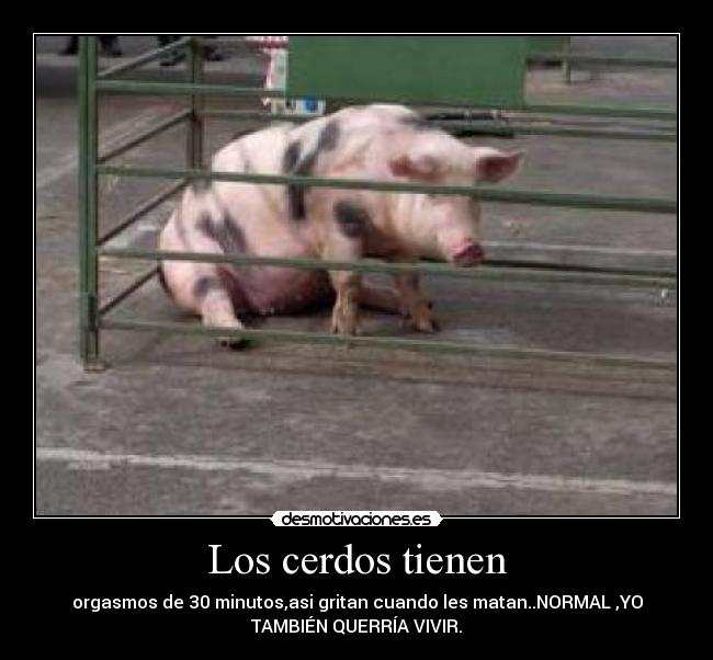 carteles teqieroperonotelomereces desmotivaciones