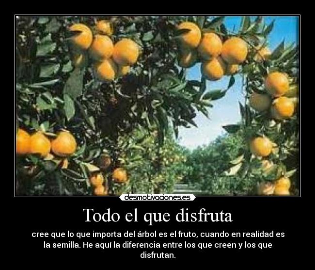 Todo el que disfruta - cree que lo que importa del árbol es el fruto, cuando en realidad es
la semilla. He aquí la diferencia entre los que creen y los que
disfrutan.