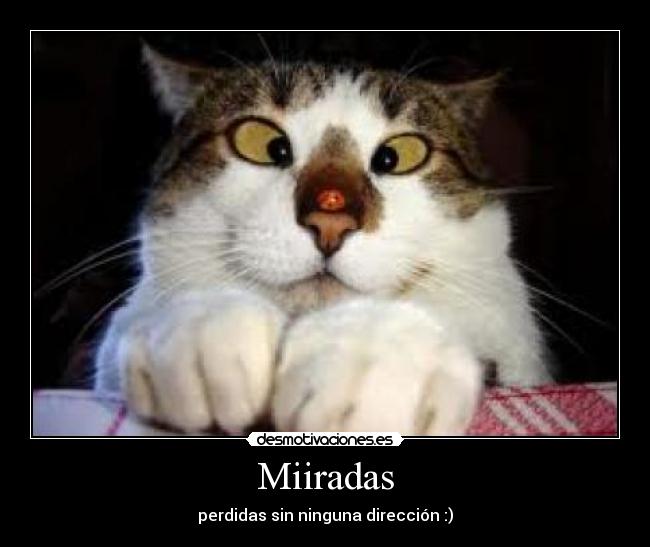 carteles coco15 desmotivaciones