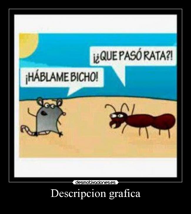 Descripcion grafica - 