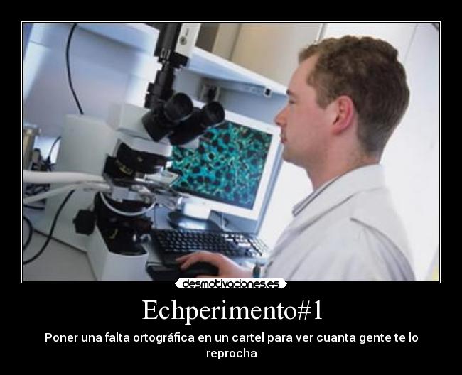 carteles seguro que harias desmotivaciones