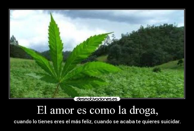 carteles amor maru feliz desmotivaciones