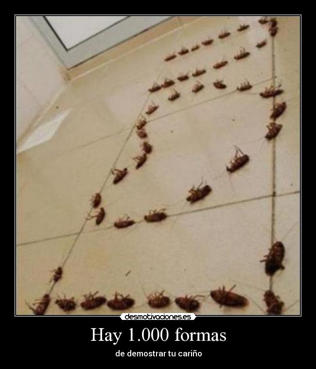 Hay 1.000 formas - 