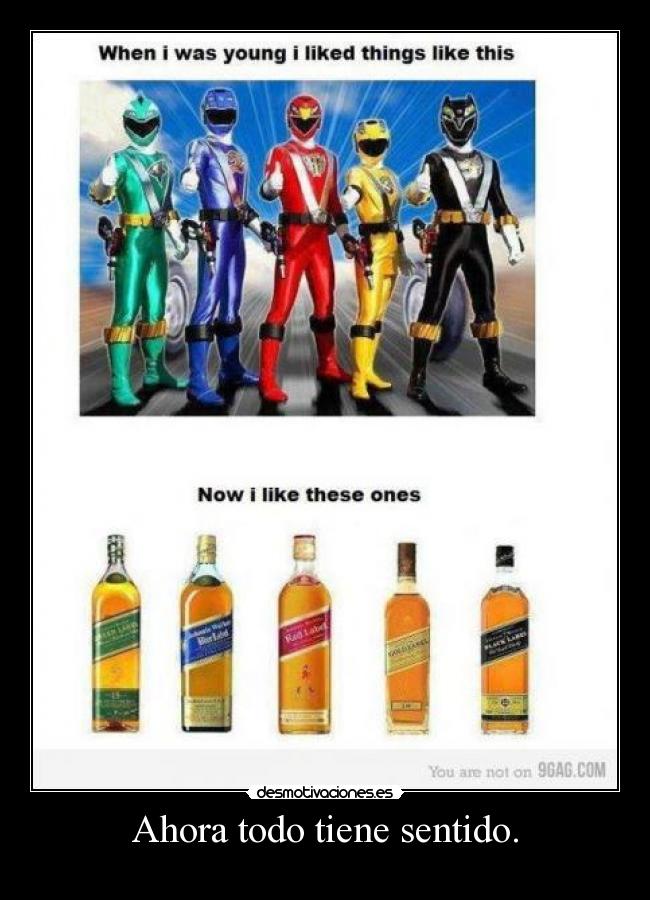 Ahora todo tiene sentido. -