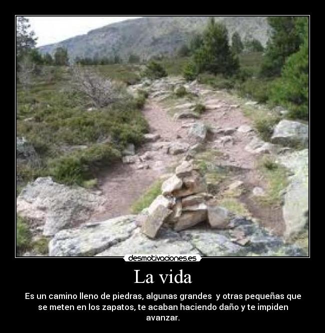 La vida - Es un camino lleno de piedras, algunas grandes  y otras pequeñas que
se meten en los zapatos, te acaban haciendo daño y te impiden
avanzar.