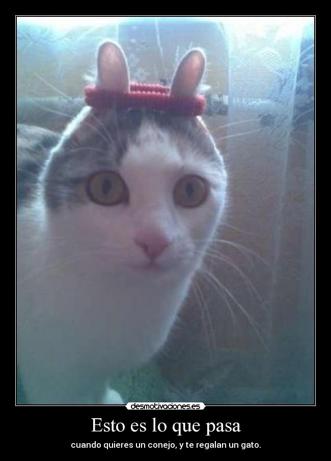 Esto es lo que pasa -