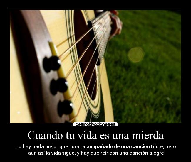 carteles vida cancion vida mierda desmotivaciones