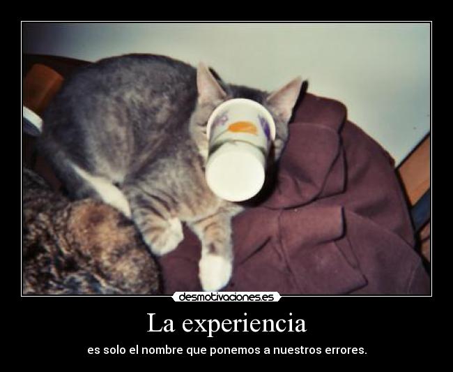 La experiencia - es solo el nombre que ponemos a nuestros errores.