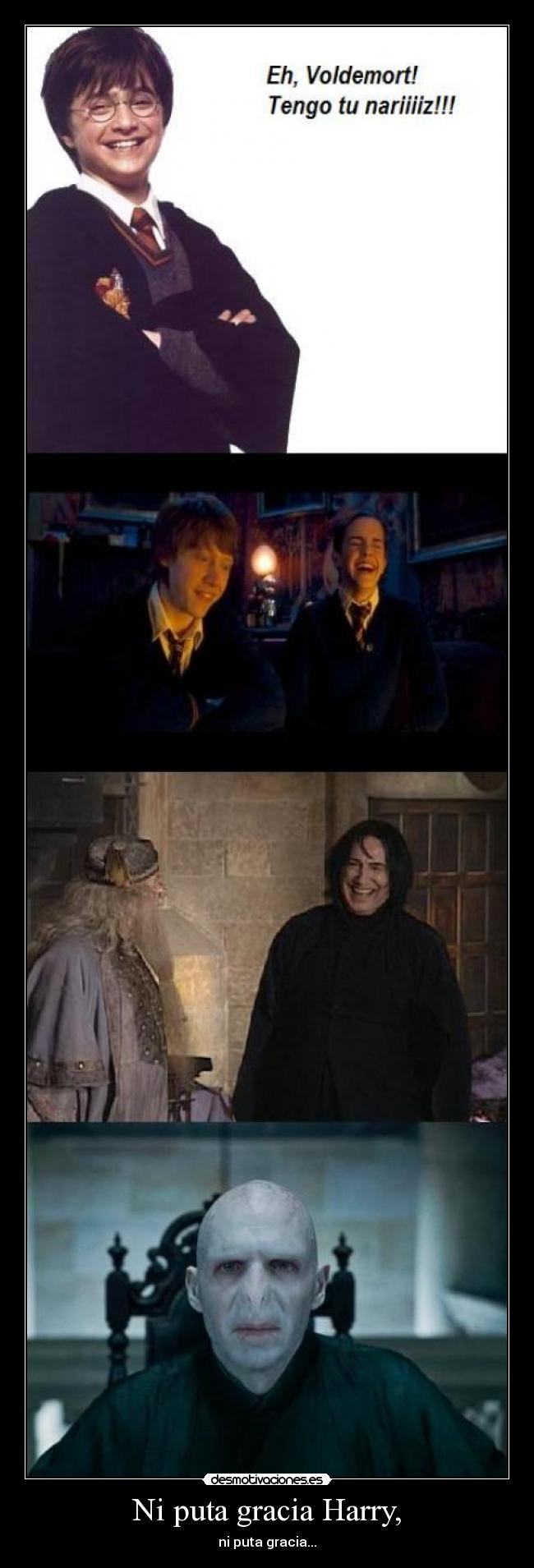 Ni puta gracia Harry, - 