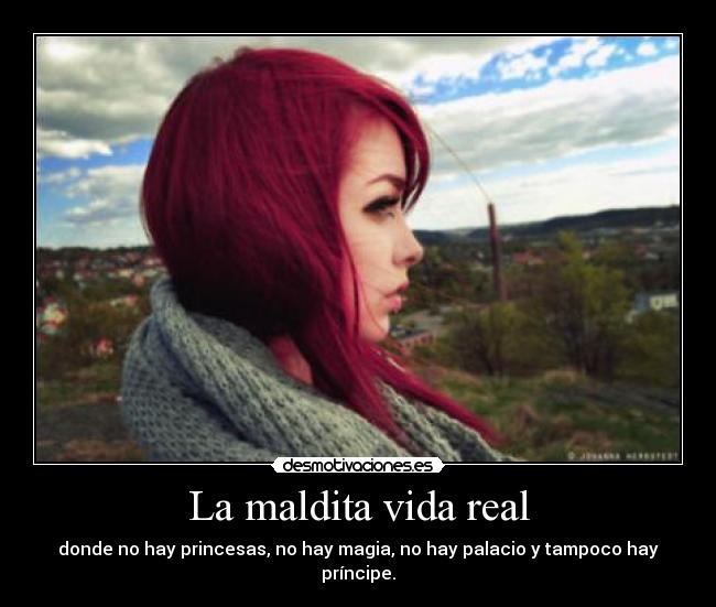 La maldita vida real -